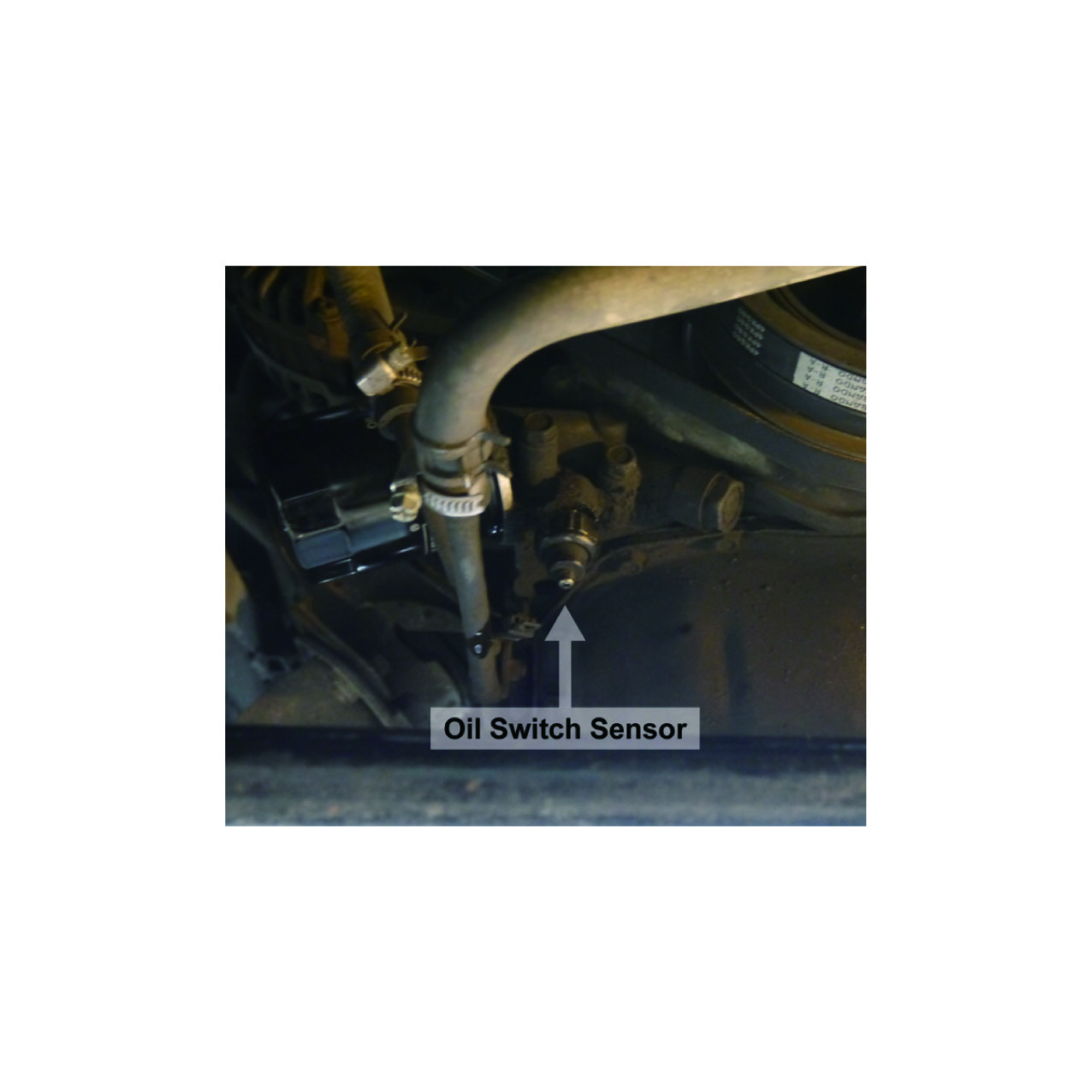 Oil Pressure Test Kit